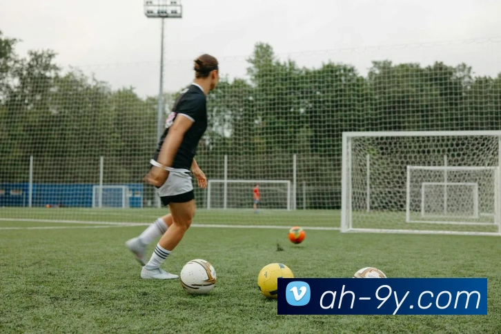 九游官网平台生态图