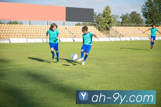 九游官网APP 封面图